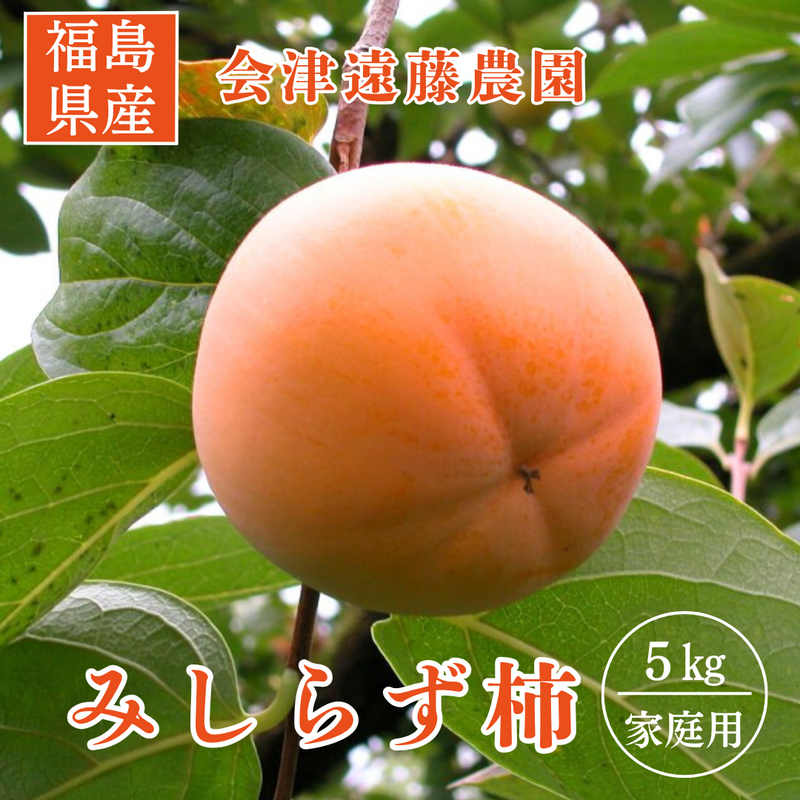 柿 【会津遠藤農園】みしらず柿 御山柿 5kg サイズお任せ 優 家庭用 柿 【会津遠藤農園】みしらず柿 御山柿 5kg サイズお任せ 優 家庭用
