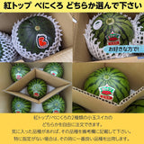 スイカ 小玉スイカ 【KSK出荷組合】 紅トップ べにくろ L どちらか1個 1.6～1.8kg 贈答用 茨城県筑西市 すいか 小玉 母の日 《5/6～5/中旬より出荷》