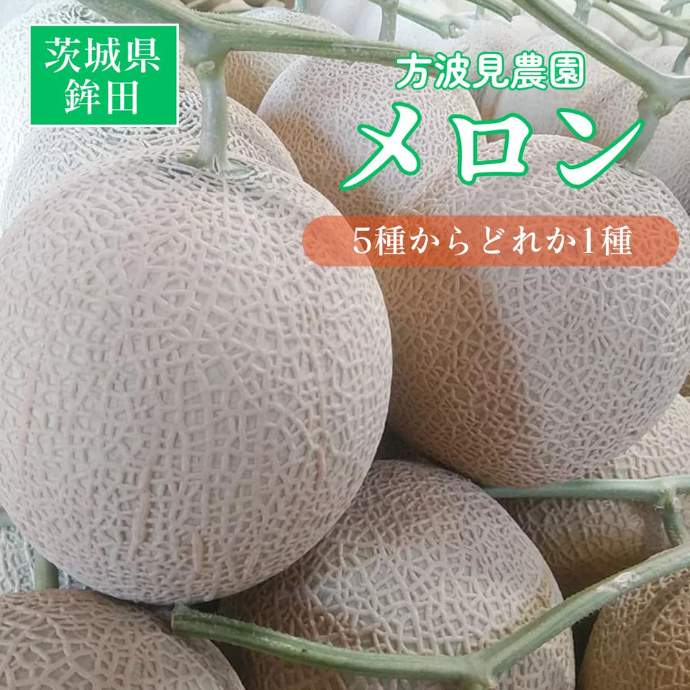 メロン 【方波見農園】 むつみレッド イバラキング クインシー タカミ