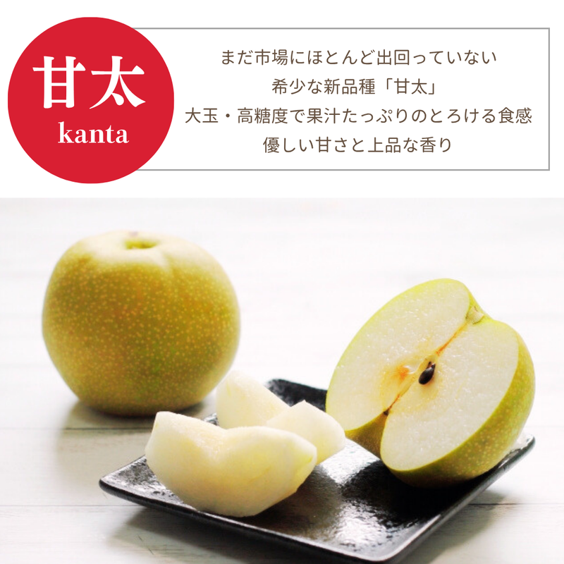 梨 【箭内厳雄果樹園】 家庭用 1種 5kg 8～11個 福島県須賀川市《11/上旬～11/中旬より出荷》