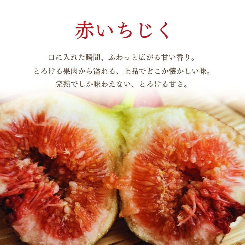 いちじく 【ファームさとう】 いちじくアイス 5個 千葉県香取市