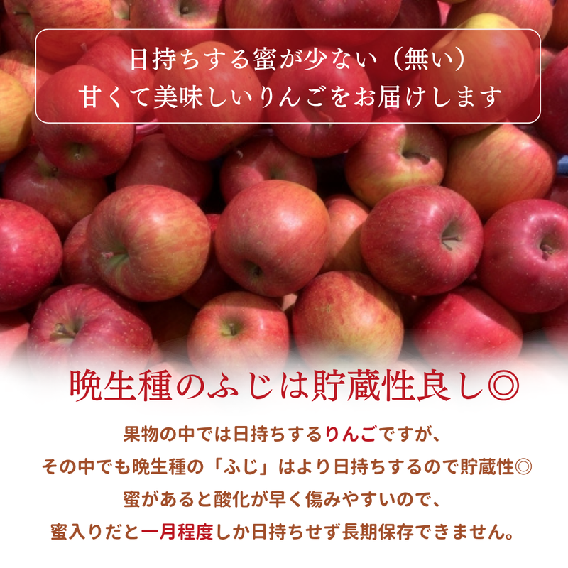 りんご 【ふんどのりんごや】 ふじ  蜜無し 長期保存用 5kg  16～18個 福島県須賀川《2/上旬～2/中旬より出荷》