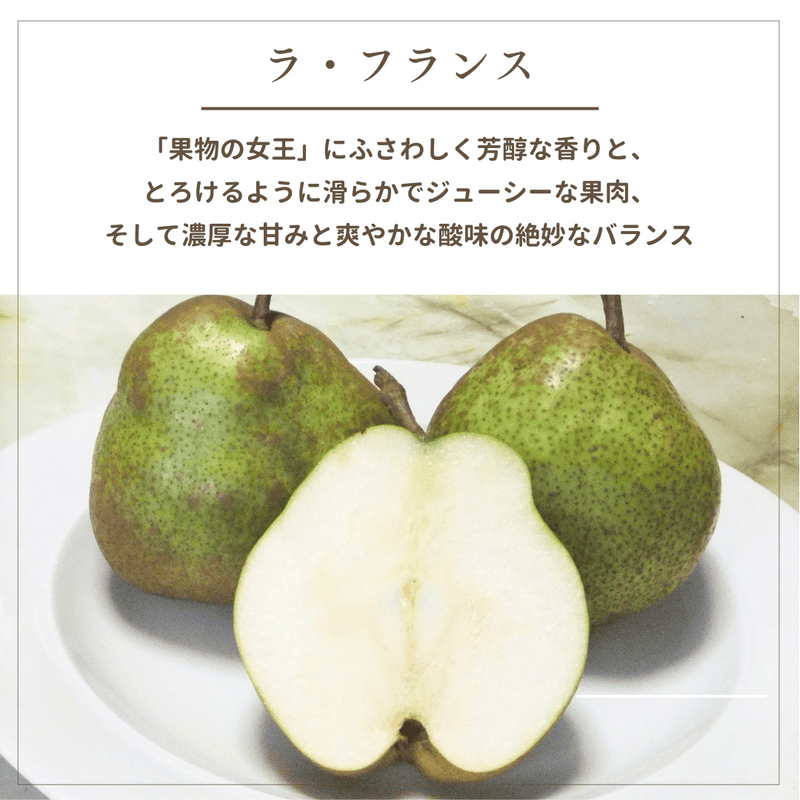 洋梨 【木村フルーツ】 洋なし ラ・フランス 約3kg ２L～5L 7～11玉 山形県上山市 ラフランス《11/中旬～11/下旬より出荷》