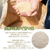 米 【おおひがし稲作研究会】 天のつぶ 玄米 30kg 白米精米可能 福島県須賀川市 令和6年産