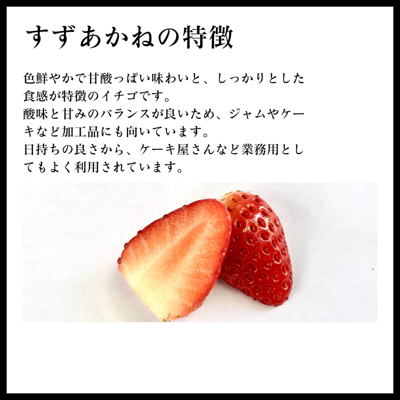 いちご 夏いちご  業務用 雷峰 すずあかね バラ小  1120g (280g×4P)×1箱 訳あり B品  小さめ 福島県 飯館 ケーキ お菓子作り イチゴ 苺 夏
