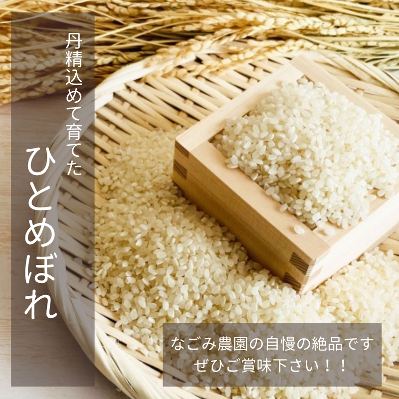 米 【なごみ農園】 ひとめぼれ 玄米 30㎏ 白米 可能 福島県猪苗代町 会津地方 農家さんより直送 令和7年産 《2025年10/中旬より出荷開始》