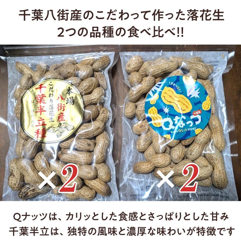 ピーナッツ 落花生 【実川文雄商店】 味比べ 殻付き落花生 千葉半立100g×2 Qなっつ100g×2 八街産 千葉県八街市
