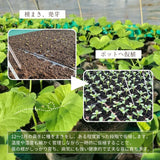 メロン 【メロン農家の根崎】 イバラキング 2玉 3.2kg 贈答用 2024年 イバラキング品評会1位 茨城県鉾田市 《6/上旬～6/中旬より出荷》