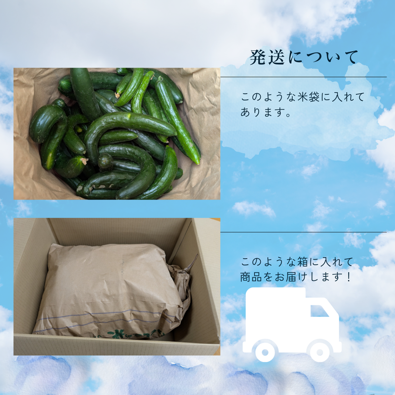 キュウリ 【エムズアグリ】業務用 訳あり きゅうり 約15㎏ 福島県須賀川市