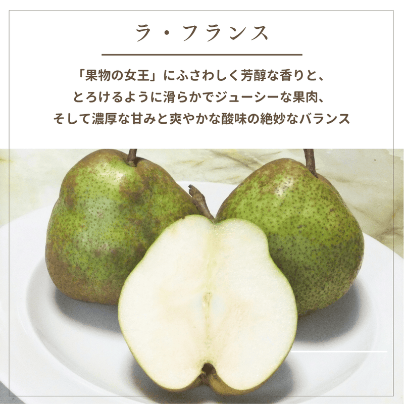 洋梨 【木村フルーツ】 洋なし ラ・フランス 約2kg ２L～5L 5～8玉 山形県上山市 ラフランス 《11/中旬～11/下旬より出荷》