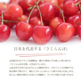 さくらんぼ 【フルーツ彩】 佐藤錦 200g×4P 800g ML 山形県上山市  《6/中旬～6/下旬の出荷》