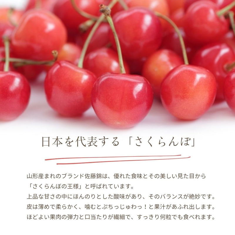 さくらんぼ 【フルーツ彩】 佐藤錦 200g×4P 800g ML 山形県上山市  《6/中旬～6/下旬の出荷》
