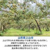 洋梨 【スミヤ果樹園】 洋なし ラ・フランス 約5kg 秀 ２L～４L 14～18玉 山形県上山市 ラフランス 《11/上旬～11/中旬より出荷》