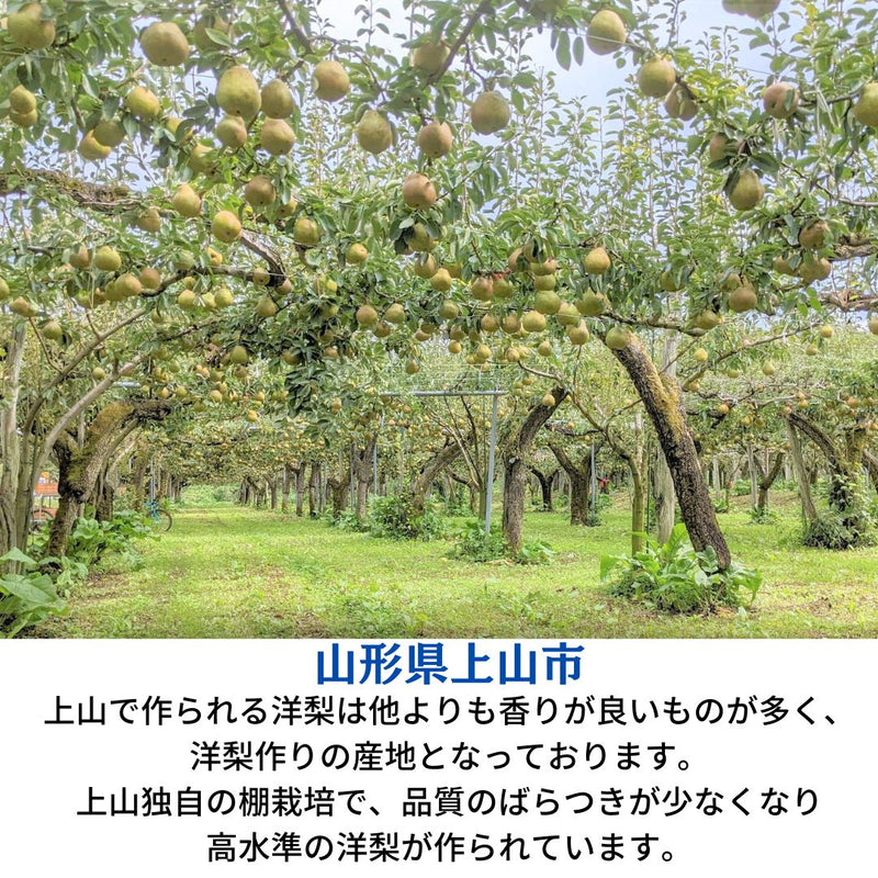 洋梨 【スミヤ果樹園】 洋なし ラ・フランス 約3kg 特秀 ２L～４L 8～10玉 贈答用 山形県上山市 ラフランス　《11/上旬～11/中旬より出荷》