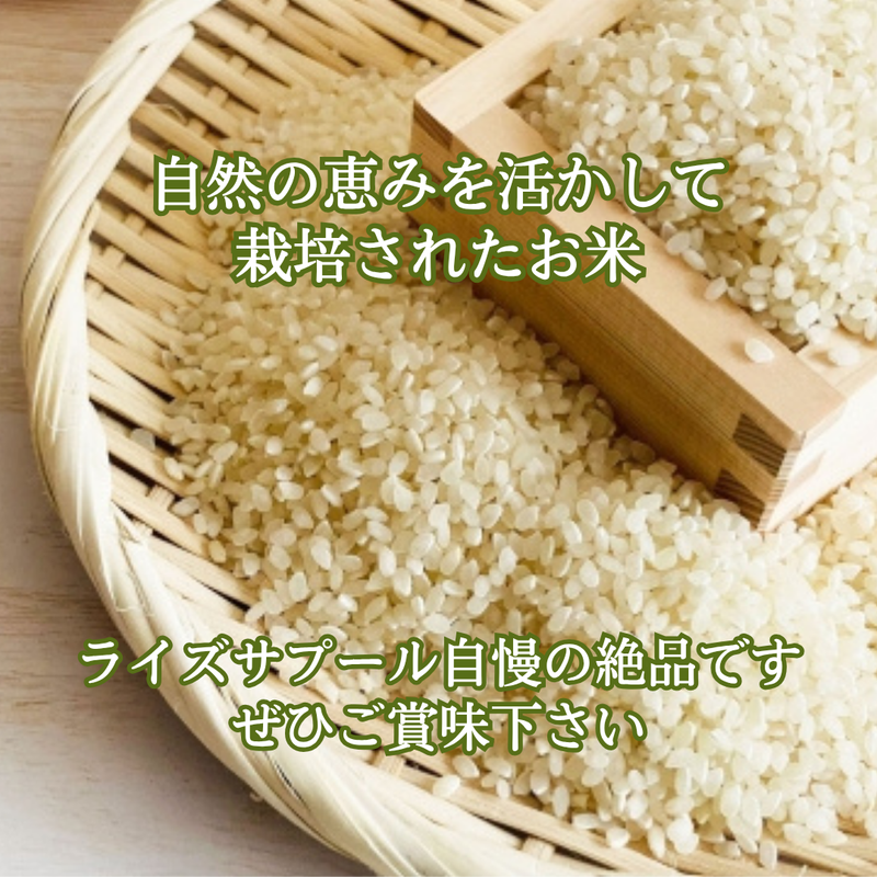 米 【ライズサプール】 ひとめぼれ 玄米 30kg 精米不可 玄米のみ 福島県只見町 会津 令和7年産 《2025年10月より出荷》