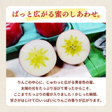 りんご 【ふんどのりんごや】 オリジナル品種 いわせっ娘 5kg 16～18個 福島県須賀川 《12/上旬～12/下旬の出荷》