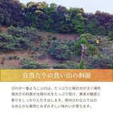 びわ 【生稲農園】 房州びわ 2kg 24～30個 サイズ色々 枇杷 皇室献上の実績 父の日 千葉県南房総市《5/中旬～5/下旬より出荷》