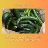キュウリ 【エムズアグリ】業務用 訳あり きゅうり 約15㎏ 福島県須賀川市