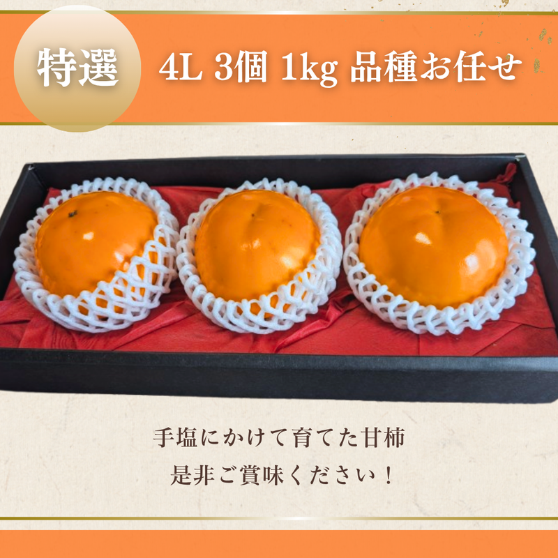 柿 甘柿 【石岡 鈴木農園】 八郷の柿 特選 4L以上 3個 1kg 品種お任せ 茨城県石岡市 《10/中旬～10/下旬の出荷》