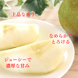 洋梨 【木村フルーツ】 洋なし ラ・フランス 約5kg ２L～5L 12～18玉 山形県上山市 ラフランス 《11/中旬～11/下旬より出荷》