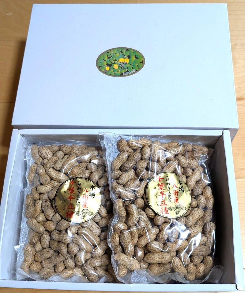 ピーナッツ 落花生 【実川文雄商店】 殻付き落花生 千葉半立300g×4 八街産 千葉県八街市