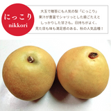 梨 【箭内厳雄果樹園】 家庭用 1種 5kg 8～11個 福島県須賀川市《11/上旬～11/中旬より出荷》