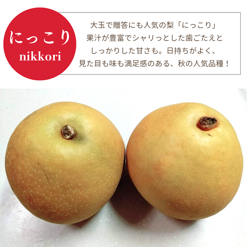 梨 【箭内厳雄果樹園】 家庭用 1種 5kg 8～11個 福島県須賀川市《11/上旬～11/中旬より出荷》