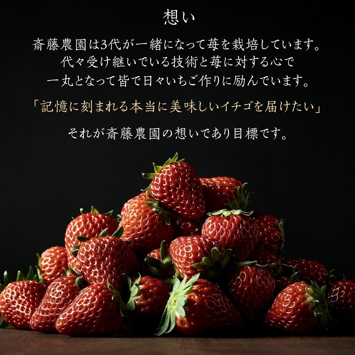 いちご 【斎藤農園】6種 食べ比べ ゆうやけベリー 紅ほっぺ とちおとめ
