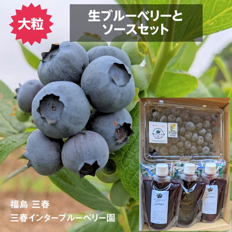 ブルーベリー 【三春インターブルーベリー園】 生ブルーベリー 400g 大粒 ソース 200g×3 朝採 国産 福島県三春町 お中元 御中元 贈答用 《6/下旬より出荷》
