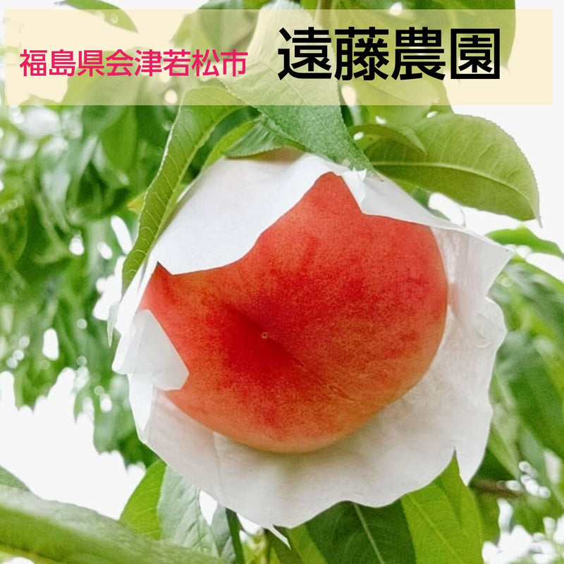 桃 【遠藤農園】 もも  5kg 14～22個 7月の桃 贈答 福島県 会津 《7月中旬～7月下旬出荷》