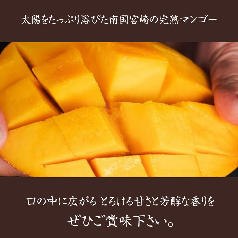 マンゴー 【まるのわマンゴー】 完熟マンゴー 2L 2個 宮崎県宮崎市《5/上～5/中の出荷》