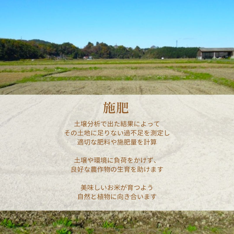 米 【おおひがし稲作研究会】 天のつぶ 玄米 30kg 白米精米可能 福島県須賀川市 令和6年産
