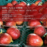 いちじく 【せた農園】 完熟 贈答用 L 12玉 1㎏ 和歌山県産 《8/中旬～8/下旬より出荷開始》 北海道・沖縄県は配送未対応