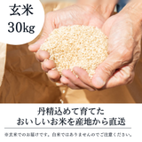 米 【ライズサプール】 ひとめぼれ 玄米 30kg 精米不可 玄米のみ 福島県只見町 会津 令和7年産 《2025年10月より出荷》