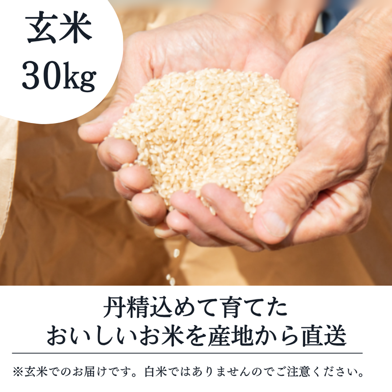 米 【ライズサプール】 ひとめぼれ 玄米 30kg 精米不可 玄米のみ 福島県只見町 会津 令和7年産 《2025年10月より出荷》