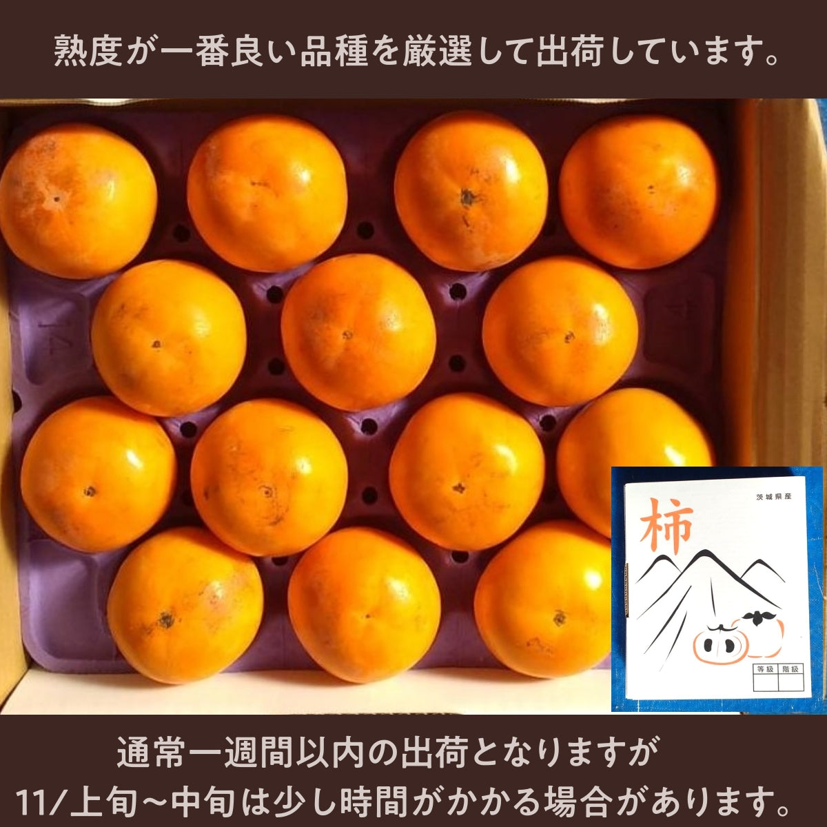 柿 甘柿 【石岡 鈴木農園】 八郷の柿 富有柿等 品種お任せ 3.5kg 2L