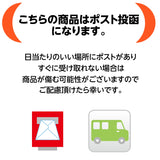 干柿 【市田屋】市田柿 チップ スティック ひとくち 100g×2袋 半生 ドライフルーツ セミドライ 柿チップ 干し柿 ほしがき 国産 長野県 信州 ポスト投函