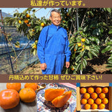 柿 甘柿 【石岡 鈴木農園】 八郷の柿 特選 4L以上 3個 1kg 品種お任せ 茨城県石岡市 《10/中旬～10/下旬の出荷》