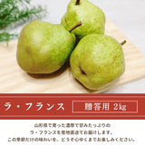 洋梨 【木村フルーツ】 洋なし ラ・フランス 約2kg ２L～5L 5～8玉 山形県上山市 ラフランス 《11/中旬～11/下旬より出荷》