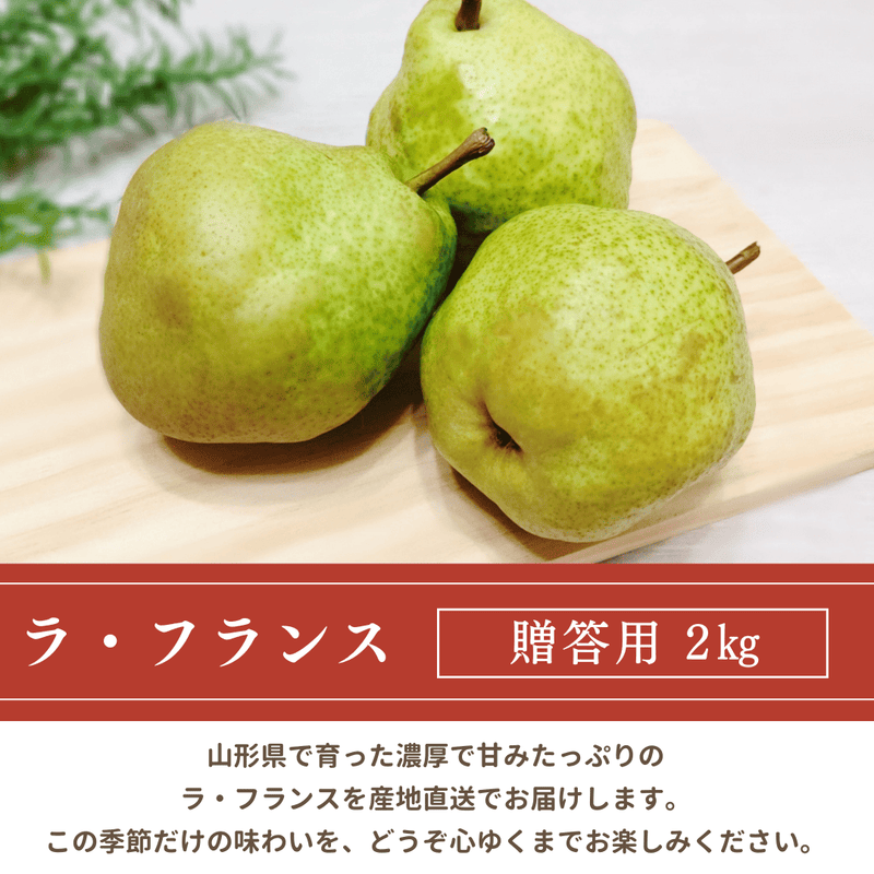 洋梨 【木村フルーツ】 洋なし ラ・フランス 約2kg ２L～5L 5～8玉 山形県上山市 ラフランス 《11/中旬～11/下旬より出荷》