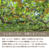 梨 【箭内厳雄果樹園】 家庭用 1種 5kg 8～11個 福島県須賀川市《11/上旬～11/中旬より出荷》