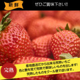 いちご 【斎藤農園】4種 食べ比べ (15～20粒 300g)×4P 福島県伊達市 《5/1～5/10より出荷》