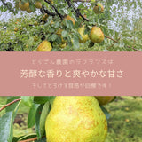 洋梨 【どらごん農園】 洋なし ラ・フランス 3kg 7～10玉 山形県 東根市 ラフランス 《11/中旬～11/下旬より出荷》