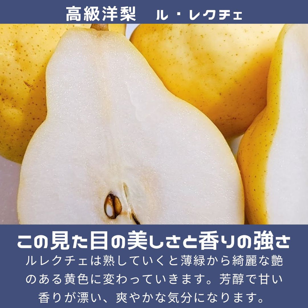 Renéルネ/エコファージレ/34(Ｓ)ホワイト／新品未使用【期間限定掲載】 商品詳細ページ