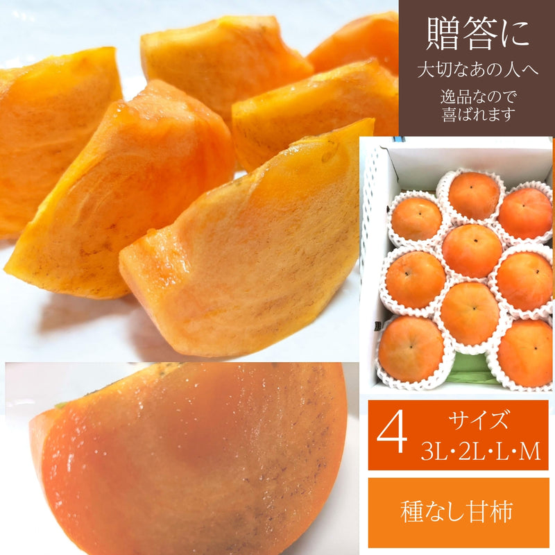 柿 甘柿 【フルーツファームいしくら】 富有柿等 皇室献上の味 広瀬の柿 化粧箱約3kg ３L 8～9個 特秀 贈答用 プレゼント 山梨県笛吹市 種なし かき《10/下旬～11/上旬の出荷》