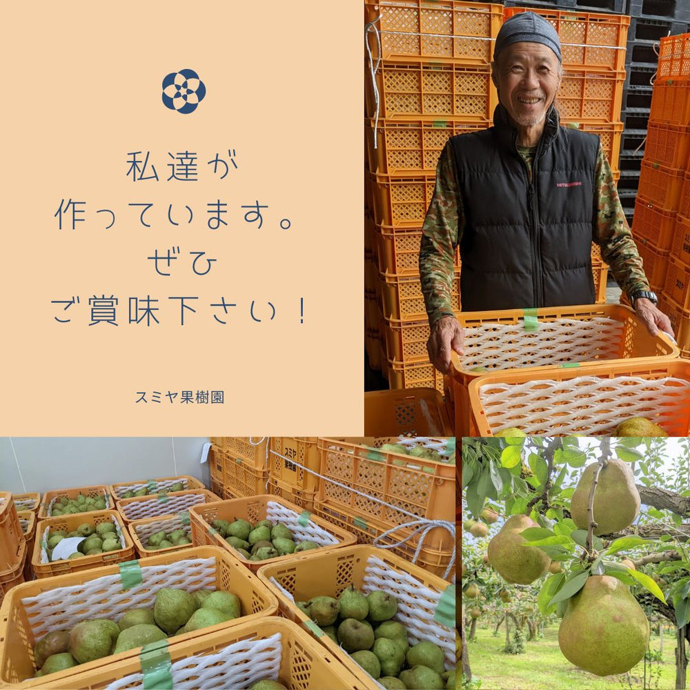スミヤ果樹園】洋なし 洋梨 ラ・フランス 約3kg 2L～4L 8～9玉 贈答