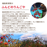 りんご 【ふんどのりんごや】 ふじ  蜜無し 長期保存用 5kg  16～18個 福島県須賀川《2/上旬～2/中旬より出荷》