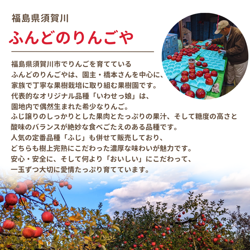 りんご 【ふんどのりんごや】 ふじ  蜜無し 長期保存用 5kg  16～18個 福島県須賀川《2/上旬～2/中旬より出荷》