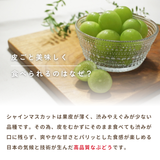 ぶどう 【箭内厳雄果樹園】 シャインマスカット 約1.8kg 2～３房 福島県 《10/上旬より出荷開始》