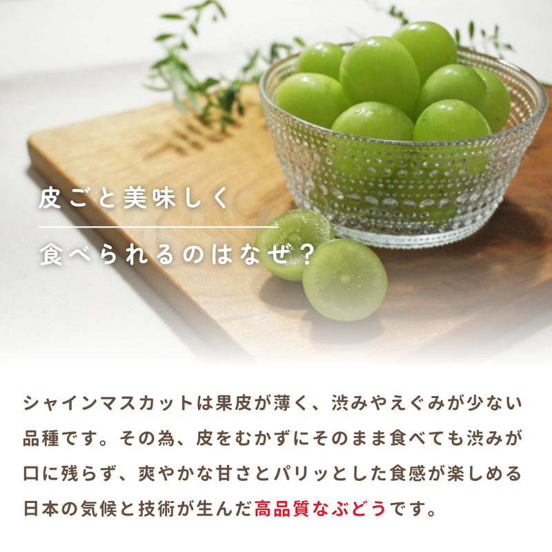 ぶどう 【箭内厳雄果樹園】 シャインマスカット 約1.8kg 2～３房 福島県 《10/上旬より出荷開始》